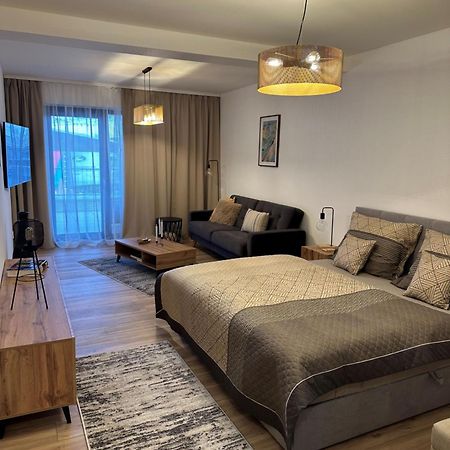 La Victoria Apartment Janske Lazne Bagian luar foto