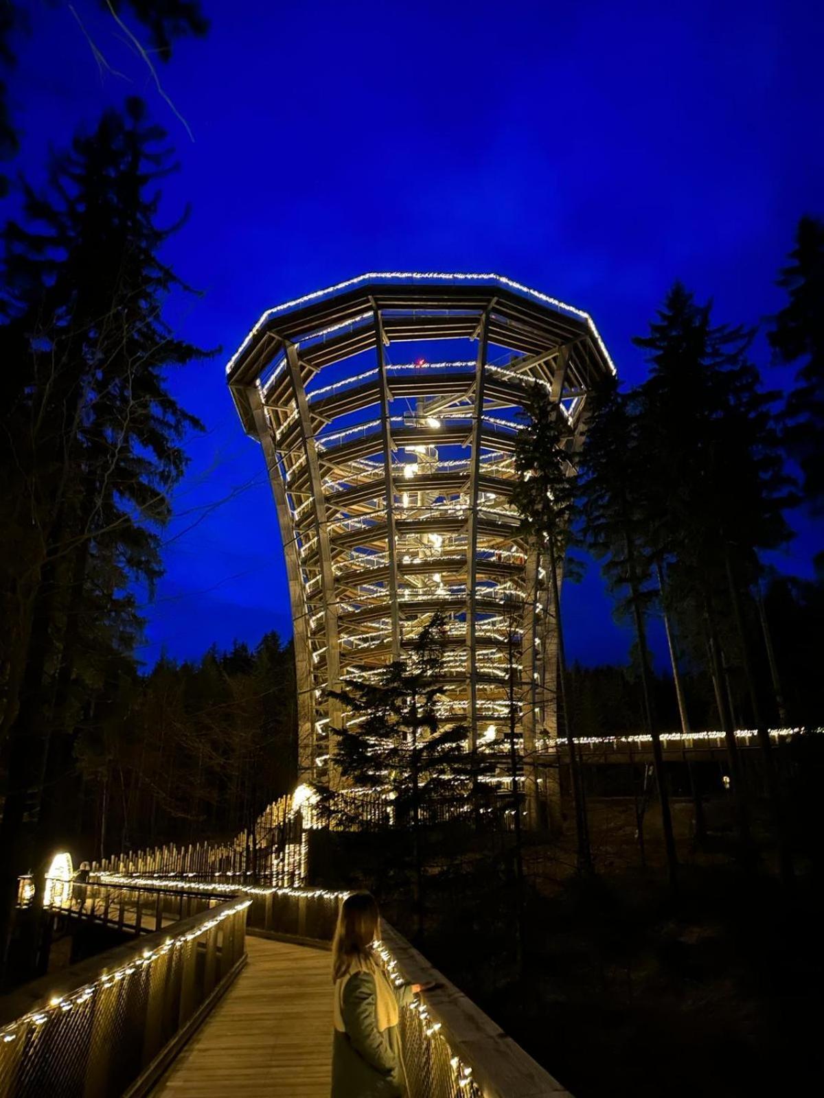 La Victoria Apartment Janske Lazne Bagian luar foto